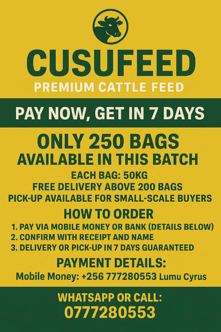 Special Offer